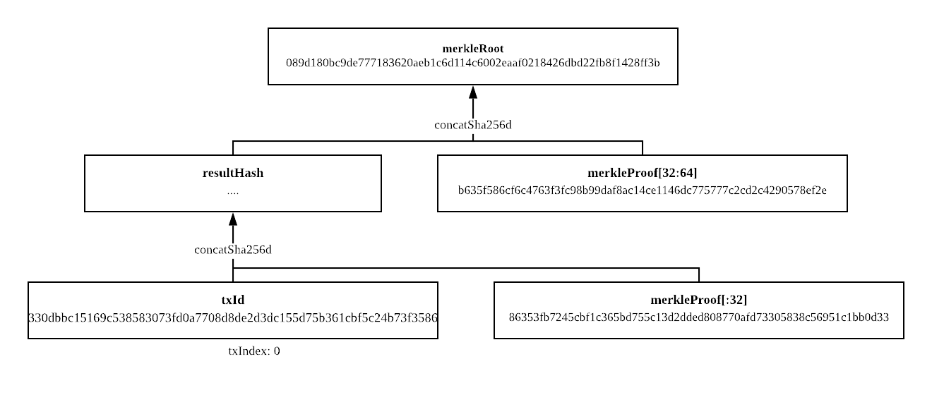 Compute Merkle example execution.